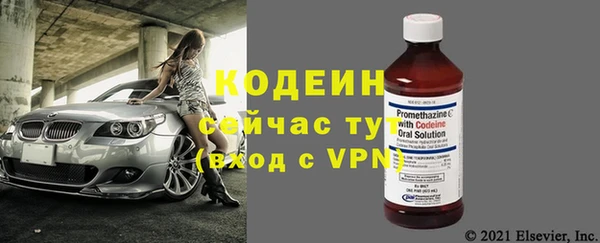 прущий лед Няндома