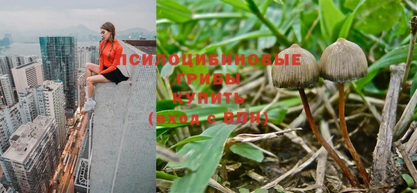 мдпв Абинск